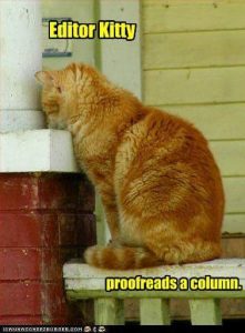 Cat Meme - Editing a Post